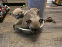 processed/b760aa13-ffd9-432c-b946-50fa06331082/listing/ebc9768e-5684-4013-8aab-c235a32916c9/e0ded29c-9ae5-43b3-94bb-fcfbd0b76818