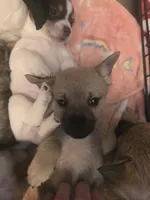 processed/b760aa13-ffd9-432c-b946-50fa06331082/listing/fc420950-cd5e-4189-ba47-d9e42f9d49b6/2b685d10-574b-49c4-b291-a7365eae9506