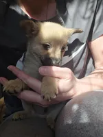 processed/b760aa13-ffd9-432c-b946-50fa06331082/listing/fc420950-cd5e-4189-ba47-d9e42f9d49b6/5506ea5e-469d-4d65-8b68-ca58f27d25c4