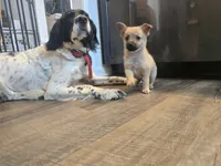 processed/b760aa13-ffd9-432c-b946-50fa06331082/listing/fc420950-cd5e-4189-ba47-d9e42f9d49b6/d647ce54-4c60-4416-a0f7-914e1bbe207b