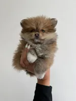 processed/b761890e-95ac-45ed-b14b-d1e149e37fd1/listing/02254dca-2721-46c5-a8f0-b9c8a395ab8c/0890c0af-5d1f-40fa-8e34-ae4db156271d