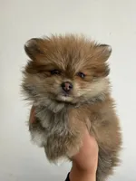 processed/b761890e-95ac-45ed-b14b-d1e149e37fd1/listing/02254dca-2721-46c5-a8f0-b9c8a395ab8c/b719d156-9d89-4b94-8eaf-d4d6ca7935ce