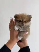 processed/b761890e-95ac-45ed-b14b-d1e149e37fd1/listing/02254dca-2721-46c5-a8f0-b9c8a395ab8c/c978ff70-ed2c-4211-b1e3-3bf15e0115e3