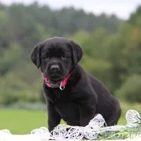 processed/b766aafa-ee9e-4a45-86b4-e091178d271e/facility/553efc39-32a0-468a-be9c-b5993d44655a