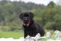 processed/b766aafa-ee9e-4a45-86b4-e091178d271e/facility/553efc39-32a0-468a-be9c-b5993d44655a