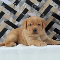 processed/b766aafa-ee9e-4a45-86b4-e091178d271e/facility/5c923290-c1be-44ce-9f63-12163a338f7e