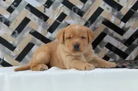 processed/b766aafa-ee9e-4a45-86b4-e091178d271e/facility/5c923290-c1be-44ce-9f63-12163a338f7e