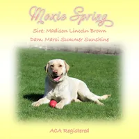 processed/b766aafa-ee9e-4a45-86b4-e091178d271e/facility/7602002d-e569-4daf-84da-8c4421bfe8bd