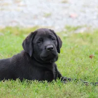 processed/b766aafa-ee9e-4a45-86b4-e091178d271e/facility/8ca2f34a-7a28-419c-90cc-cb23af0ea599