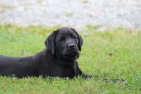 processed/b766aafa-ee9e-4a45-86b4-e091178d271e/facility/8ca2f34a-7a28-419c-90cc-cb23af0ea599