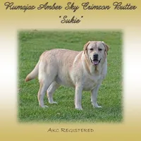 processed/b766aafa-ee9e-4a45-86b4-e091178d271e/facility/9ceb57e0-a1c7-4ab9-a850-6767007e8072