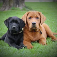 processed/b766aafa-ee9e-4a45-86b4-e091178d271e/facility/c8e7a3b4-5de3-4f6d-981a-9a67871febbb