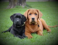 processed/b766aafa-ee9e-4a45-86b4-e091178d271e/facility/c8e7a3b4-5de3-4f6d-981a-9a67871febbb