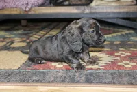 processed/b769f12d-8c73-4faa-b8cd-c059d1c775b3/listing/380e1e41-cfd8-4136-83c0-81a50c3e41cb/30b496c0-5952-4a81-8c0d-01182233a604