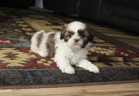 processed/b769f12d-8c73-4faa-b8cd-c059d1c775b3/listing/3c72a59d-eea0-4b20-8723-3ef8b028c3a9/09fddc0d-33f6-4a67-b0b7-e80b01f826b5