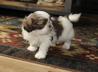 processed/b769f12d-8c73-4faa-b8cd-c059d1c775b3/listing/3c72a59d-eea0-4b20-8723-3ef8b028c3a9/1711d961-7e61-45e7-888c-79c40f66dc3e