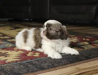 processed/b769f12d-8c73-4faa-b8cd-c059d1c775b3/listing/3c72a59d-eea0-4b20-8723-3ef8b028c3a9/238db98f-034d-415d-b1d2-63676218ae9f