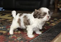 processed/b769f12d-8c73-4faa-b8cd-c059d1c775b3/listing/3c72a59d-eea0-4b20-8723-3ef8b028c3a9/98a9c775-e654-4781-b036-9f1a1f4baff9