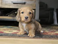 processed/b769f12d-8c73-4faa-b8cd-c059d1c775b3/listing/4f55ce01-3fc4-4b29-b7cc-dab5e8e44364/38585d15-b321-4250-bae5-962b0f592c9b