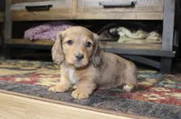 processed/b769f12d-8c73-4faa-b8cd-c059d1c775b3/listing/4f55ce01-3fc4-4b29-b7cc-dab5e8e44364/77cde366-3c23-4cf1-a10a-c3fb35b86750