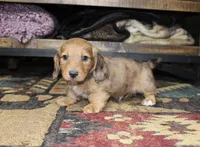 processed/b769f12d-8c73-4faa-b8cd-c059d1c775b3/listing/4f55ce01-3fc4-4b29-b7cc-dab5e8e44364/c233141e-8570-409e-9634-a843c091b24a