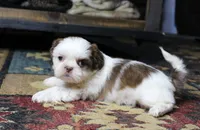 processed/b769f12d-8c73-4faa-b8cd-c059d1c775b3/listing/80704e21-a993-44e7-b93d-4b4bfa6fb115/587ee5aa-9554-4e4d-afe5-b703400e56c5