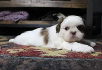 processed/b769f12d-8c73-4faa-b8cd-c059d1c775b3/listing/80704e21-a993-44e7-b93d-4b4bfa6fb115/b7dbc9a6-c52e-4a46-8035-4c970c507b65