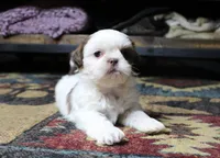 processed/b769f12d-8c73-4faa-b8cd-c059d1c775b3/listing/80704e21-a993-44e7-b93d-4b4bfa6fb115/c6c54d89-a3db-4aff-8619-54ea844ae9b5