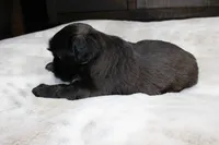 processed/b769f12d-8c73-4faa-b8cd-c059d1c775b3/listing/e8f4dd0f-4212-4f45-8ee8-d538097dc874/6c865df2-8a3f-44a6-9922-2cabcf967afe