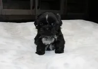 processed/b769f12d-8c73-4faa-b8cd-c059d1c775b3/listing/e8f4dd0f-4212-4f45-8ee8-d538097dc874/d227c452-cc3c-4dcd-830f-229abab73363