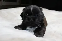 processed/b769f12d-8c73-4faa-b8cd-c059d1c775b3/listing/e8f4dd0f-4212-4f45-8ee8-d538097dc874/fbb1bc14-c37a-4863-86df-8423a7309e57