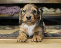 processed/b769f12d-8c73-4faa-b8cd-c059d1c775b3/listing/f6cc3037-438b-47fe-b022-1244d88c6fb3/425f1ed9-6371-420a-bc1d-2ee2c8e501ef