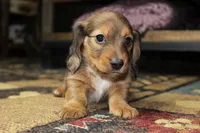 processed/b769f12d-8c73-4faa-b8cd-c059d1c775b3/listing/f6cc3037-438b-47fe-b022-1244d88c6fb3/6ed73a6d-ba8a-47de-ae4c-6b3b2461a283