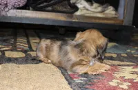 processed/b769f12d-8c73-4faa-b8cd-c059d1c775b3/listing/f6cc3037-438b-47fe-b022-1244d88c6fb3/a7fa223b-0eb6-4b08-a6ae-28a2794566a0