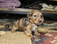 processed/b769f12d-8c73-4faa-b8cd-c059d1c775b3/listing/f6cc3037-438b-47fe-b022-1244d88c6fb3/e2544c0b-2798-4a91-86ec-3de8015e9b7e