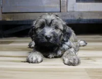 processed/b769f12d-8c73-4faa-b8cd-c059d1c775b3/listing/ffdf7578-6450-484f-88af-16109a3d69c6/bb114bb5-87be-4a0d-9a33-143f08bfe8c3