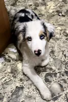 processed/b779fcf8-4e63-4938-b196-d290afd23924/listing/0e862293-079e-49d8-972b-debb4c936979/028401df-3a30-4d41-ad36-ecfa3c84efa2