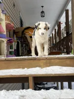 processed/b779fcf8-4e63-4938-b196-d290afd23924/listing/0e862293-079e-49d8-972b-debb4c936979/14acab3d-4e2b-486f-a52f-9b7851dacdb7