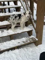 processed/b779fcf8-4e63-4938-b196-d290afd23924/listing/0e862293-079e-49d8-972b-debb4c936979/1559abf6-d0a4-4a5c-ae52-b0d7ba924ce7