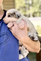 processed/b779fcf8-4e63-4938-b196-d290afd23924/listing/0e862293-079e-49d8-972b-debb4c936979/510a8a7e-c19e-44b6-8cac-4600add5086a