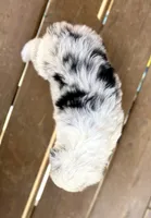 processed/b779fcf8-4e63-4938-b196-d290afd23924/listing/0e862293-079e-49d8-972b-debb4c936979/8d367e74-a6dd-4d69-8038-fe5e98457fb9