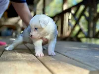 processed/b779fcf8-4e63-4938-b196-d290afd23924/listing/46e7e769-07e3-4c4b-b985-01a3d9a09df9/24af0c4e-4b77-499a-858c-6378bdc949c9