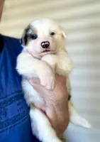 processed/b779fcf8-4e63-4938-b196-d290afd23924/listing/46e7e769-07e3-4c4b-b985-01a3d9a09df9/970845dc-01c4-43a6-930a-3cd33f1f7c6d