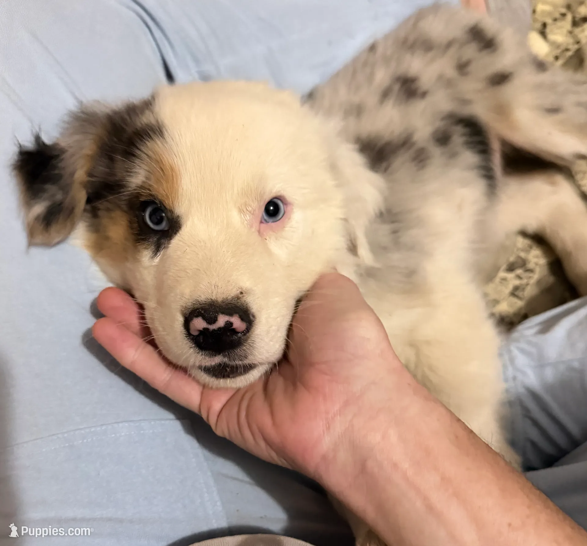 processed/b779fcf8-4e63-4938-b196-d290afd23924/listing/46e7e769-07e3-4c4b-b985-01a3d9a09df9/b05330b2-542b-4c2a-acb0-7ee962a1ed3d