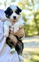 processed/b779fcf8-4e63-4938-b196-d290afd23924/listing/4b0307c0-bb94-4631-be44-e7b19f922099/245b84d1-92f2-4312-894d-c38dce2b3948