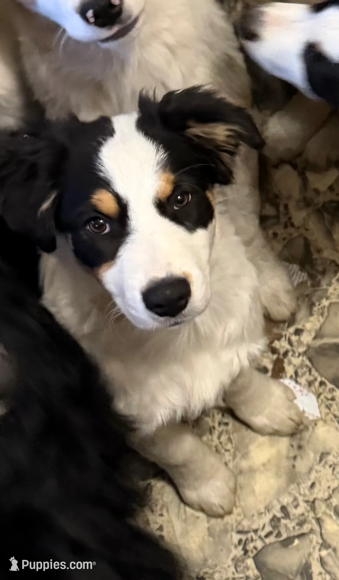 processed/b779fcf8-4e63-4938-b196-d290afd23924/listing/4b0307c0-bb94-4631-be44-e7b19f922099/50729869-c831-4494-a8ac-bdd0a890da6e