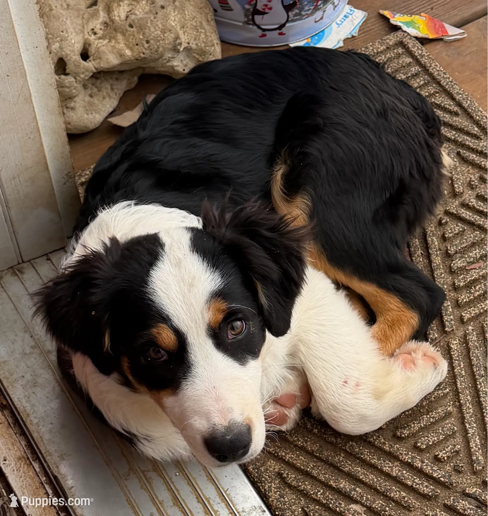 processed/b779fcf8-4e63-4938-b196-d290afd23924/listing/4b0307c0-bb94-4631-be44-e7b19f922099/7330d09c-7e65-48ef-80bd-edda869ad193