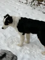 processed/b779fcf8-4e63-4938-b196-d290afd23924/listing/4b0307c0-bb94-4631-be44-e7b19f922099/87067f56-7356-4a72-8de6-b0de7f9ffe28