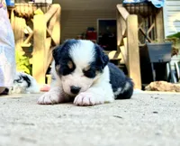 processed/b779fcf8-4e63-4938-b196-d290afd23924/listing/4b0307c0-bb94-4631-be44-e7b19f922099/97bfd8b3-a9dc-4fd9-855c-3d1f2787d2dc