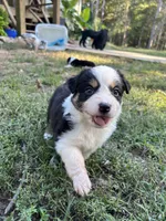 processed/b779fcf8-4e63-4938-b196-d290afd23924/listing/4b0307c0-bb94-4631-be44-e7b19f922099/c133e5eb-9082-40c9-91bc-145b3547b90a